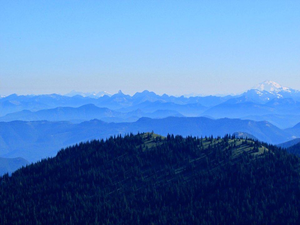 Mt. Rainier NP in WA