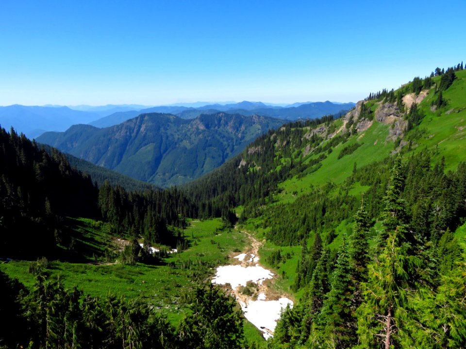 Tatoosh Peak Trail in WA