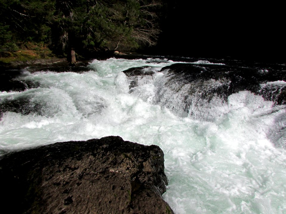 Lower Lewis River Falls in WA