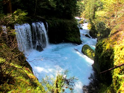 Spirit Falls Trail on Little White Salmon River in WA