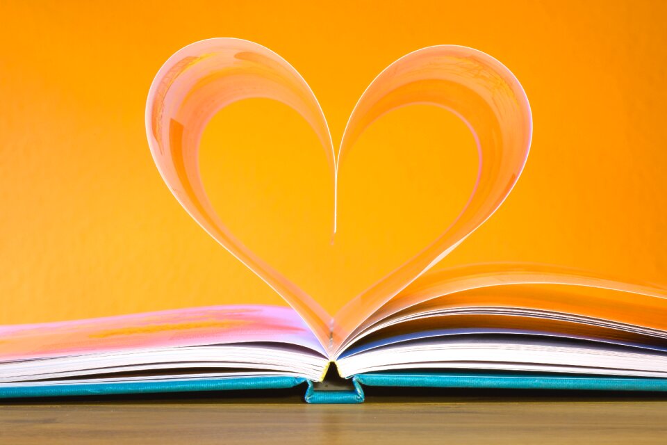 Literature knowledge reading