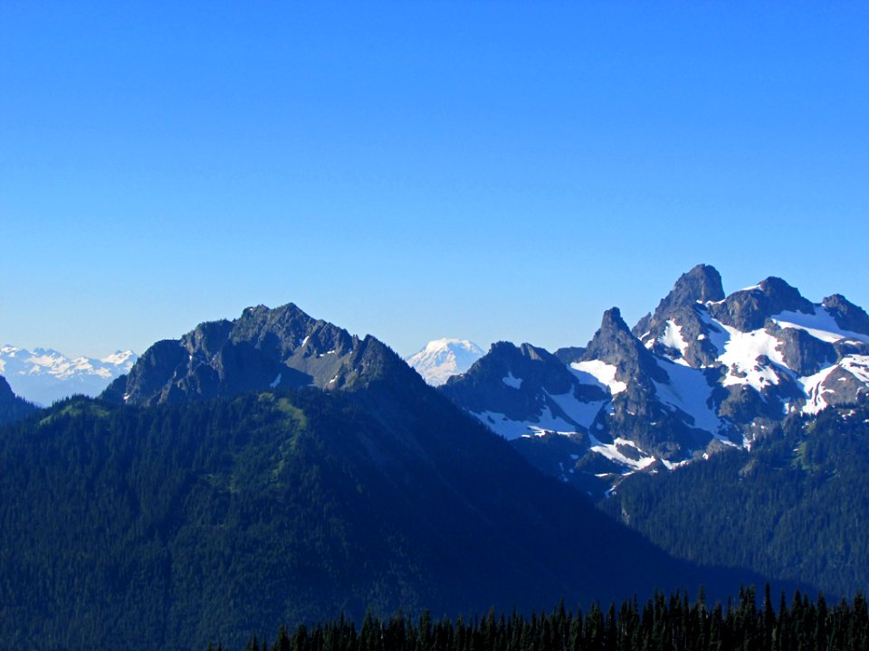 Mt. Rainier NP in WA