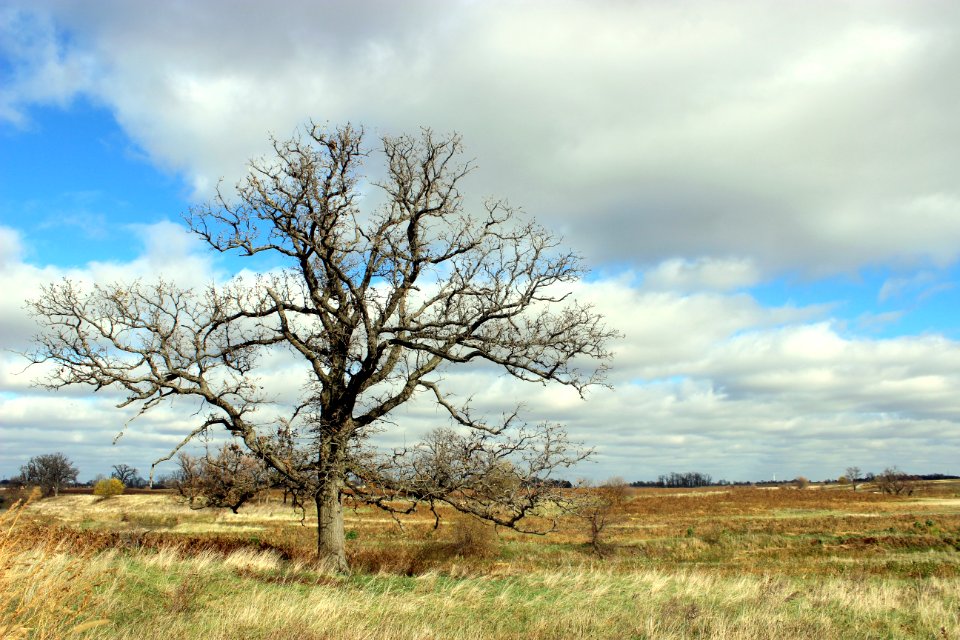 Goose Creek Game Bird Habitat Area