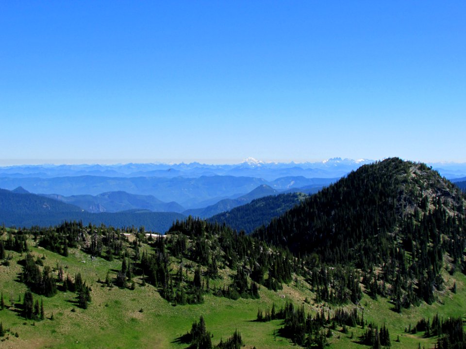 Mt. Rainier NP in WA