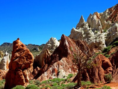 Cottonwood Canyon Road in Utah