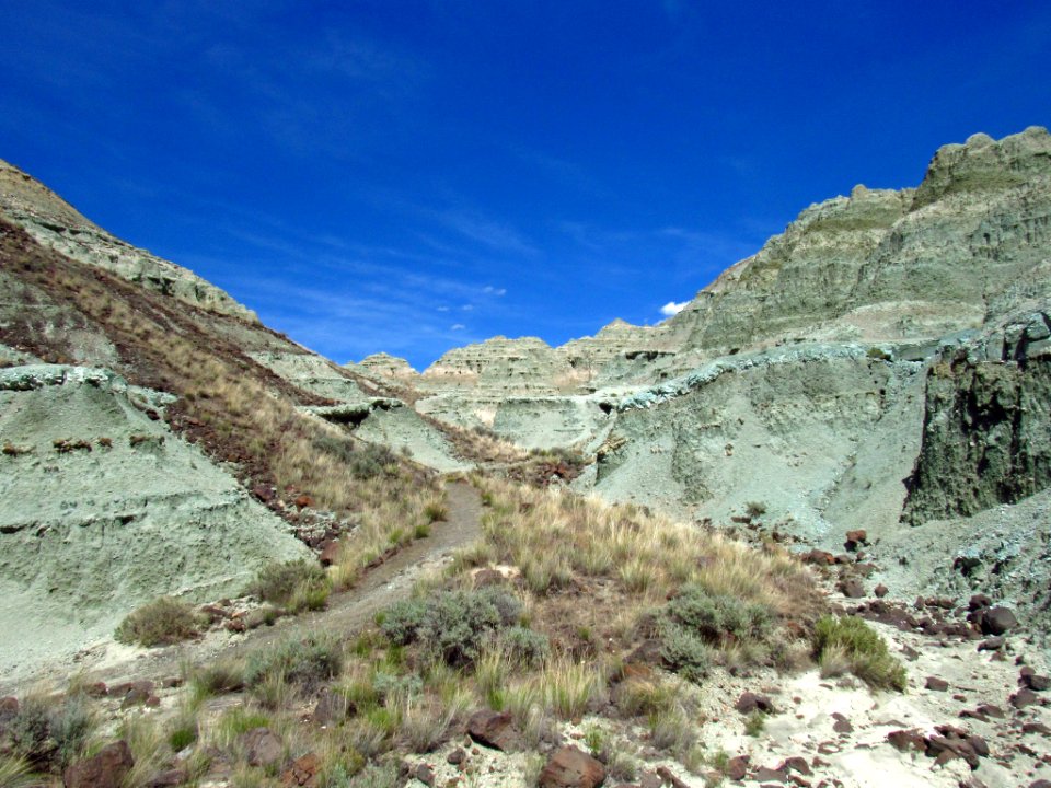 Island in Time Trail at John Day Fossil Beds in OR