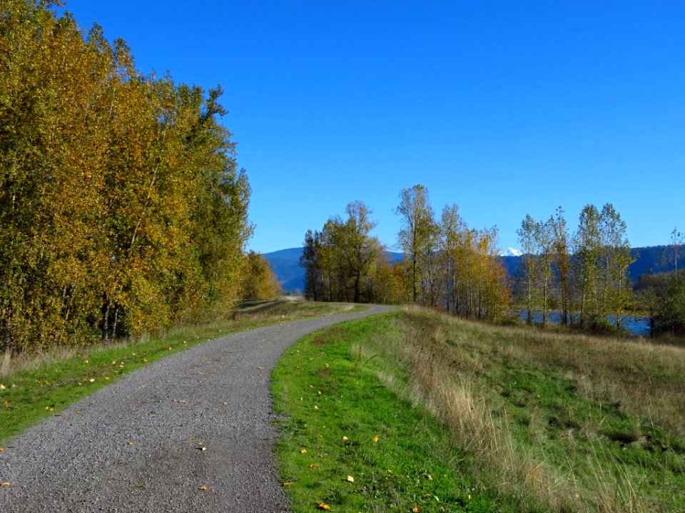 Autumn at Steigerwald Lake NWR in WA