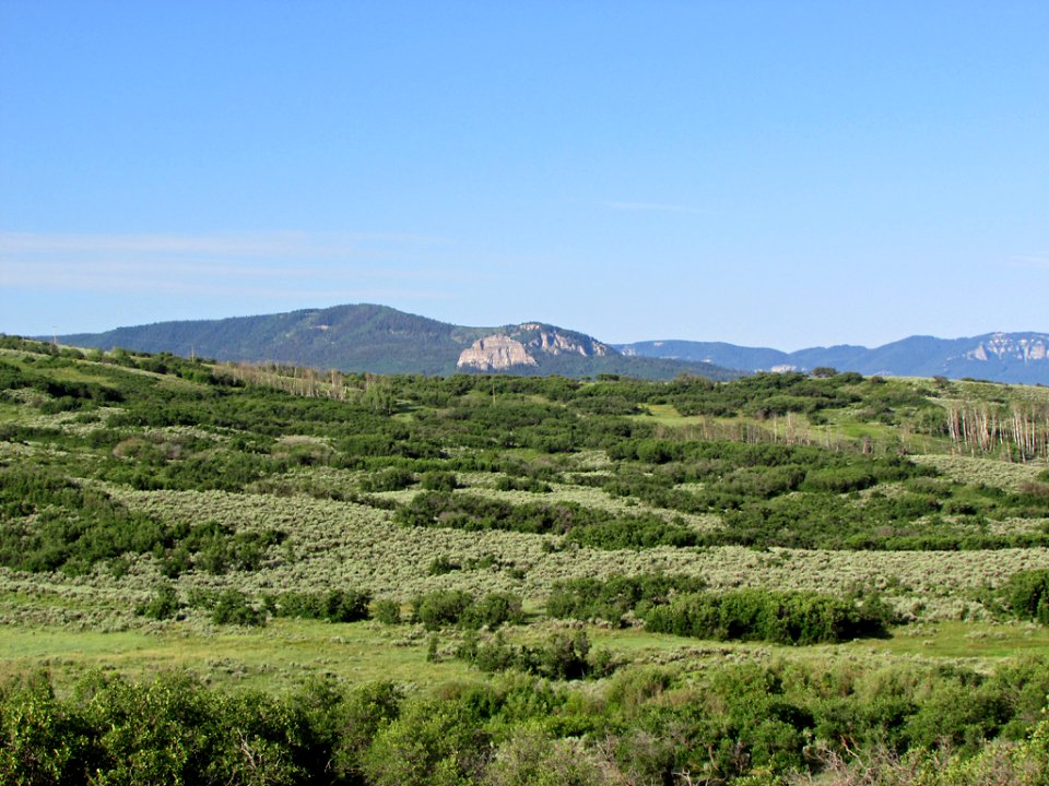 Morning Landscape in CO