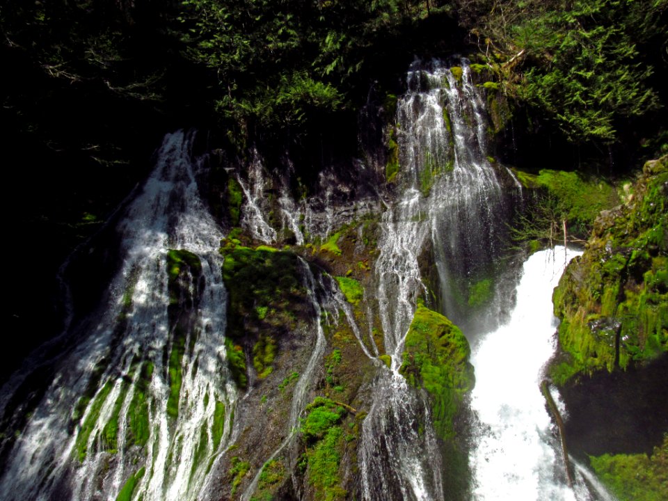 Panther Creek Falls Trail in WA