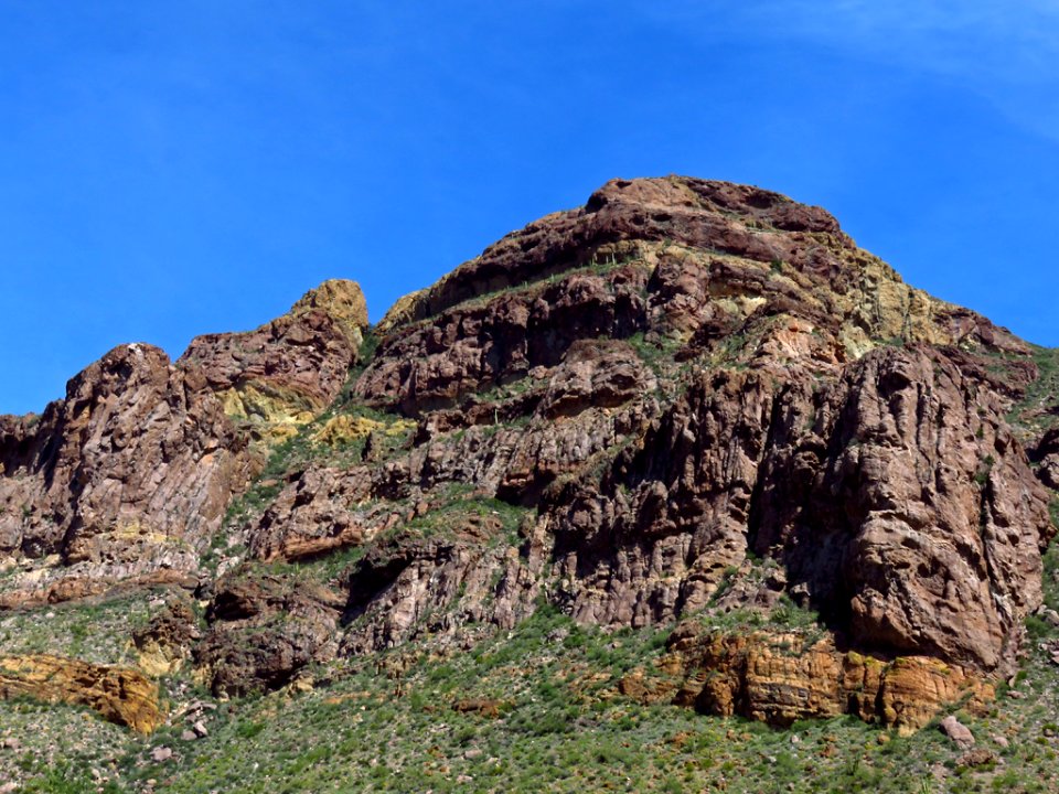 Organ Pipe Cactus NM in AZ