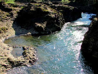 Lucia Falls Park at Lewis River in WA photo