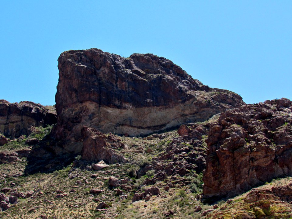 Organ Pipe Cactus NM in Arizona
