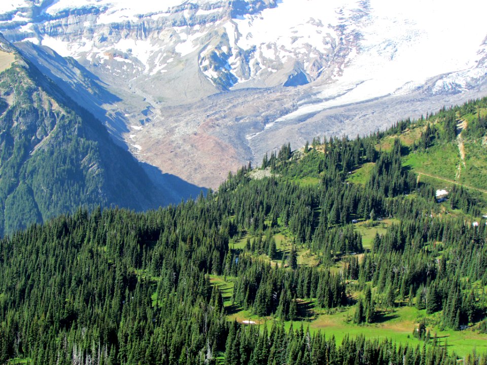 Mt. Rainier NP in WA