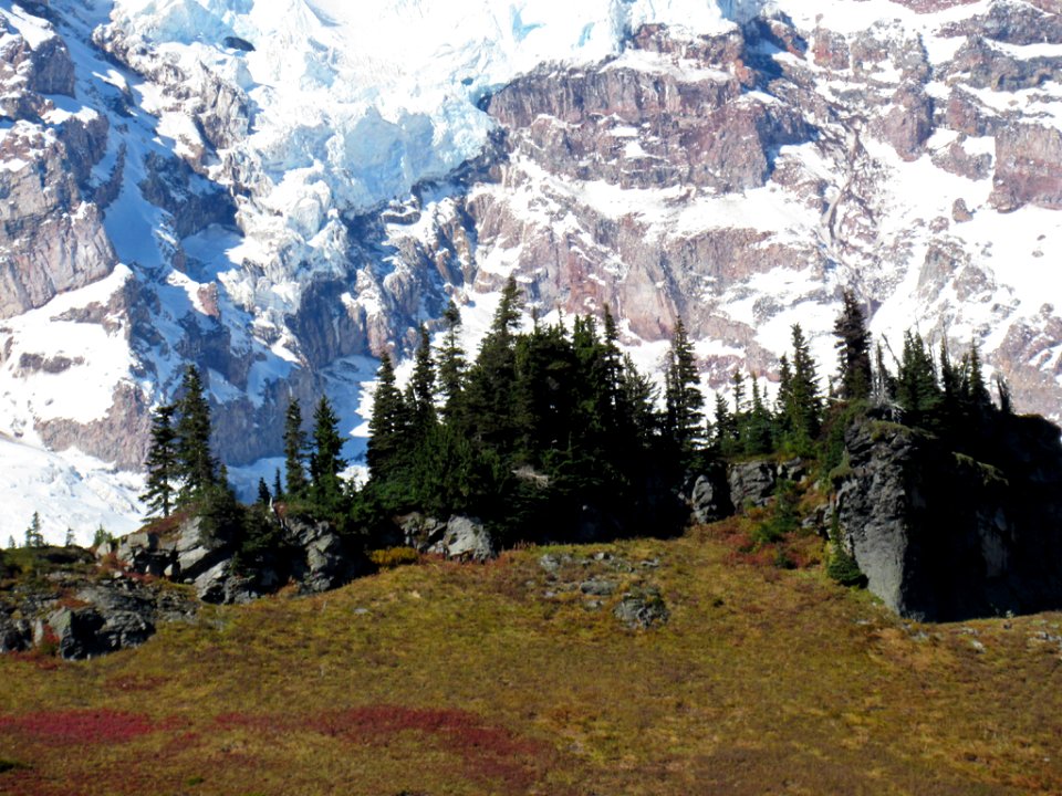Autumn at Skyline Trail at Mt. Rainier NP in WA