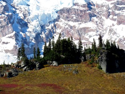 Autumn at Skyline Trail at Mt. Rainier NP in WA