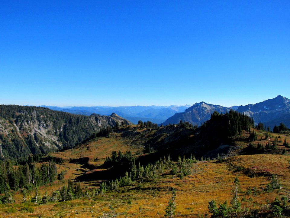 Autumn at Skyline Trail at Mt. Rainier NP in WA
