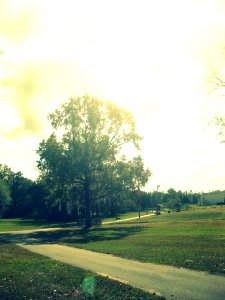 tom varn park