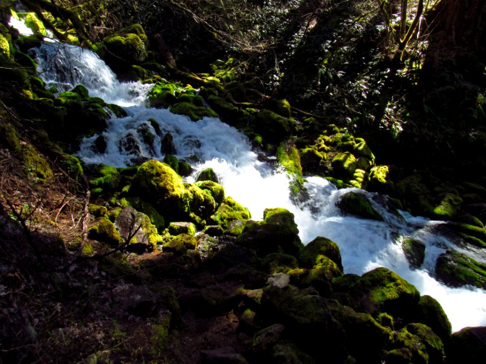 Falls Creek Falls Trail in WA