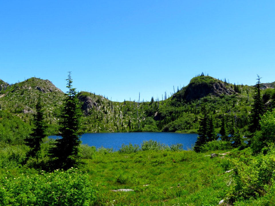 Panhandle Lake at Mt. Margaret Backcountry in WA