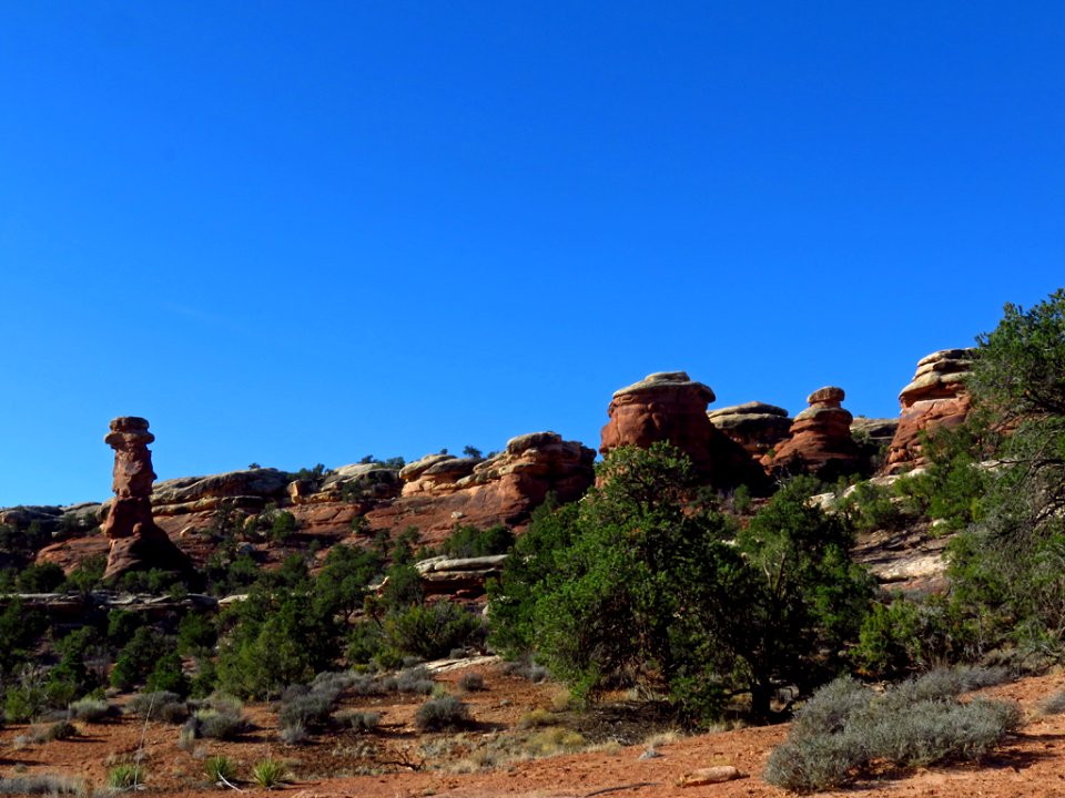 Needles District at Canyonlands NP in Utah