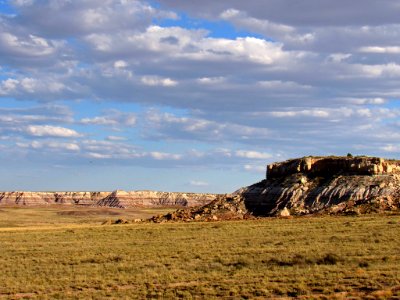 Petrified Forest NP in Arizona photo