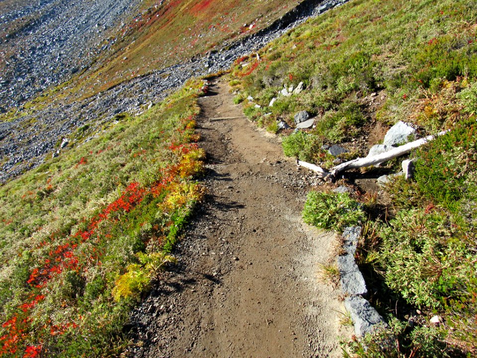 Autumn at Golden Gate Trail at Mt. Rainier NP in WA