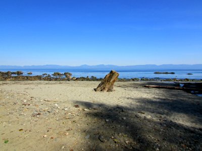 Neah Bay at Pacific Coast in WA photo