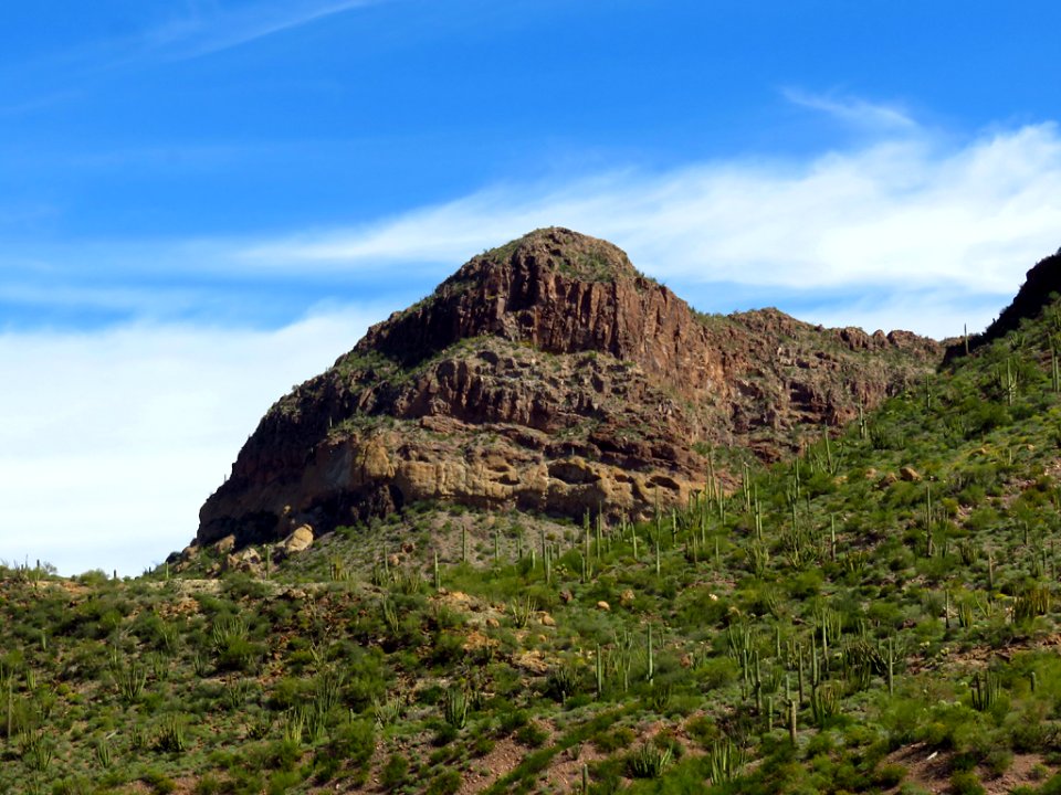 Organ Pipe Cactus NM in AZ photo