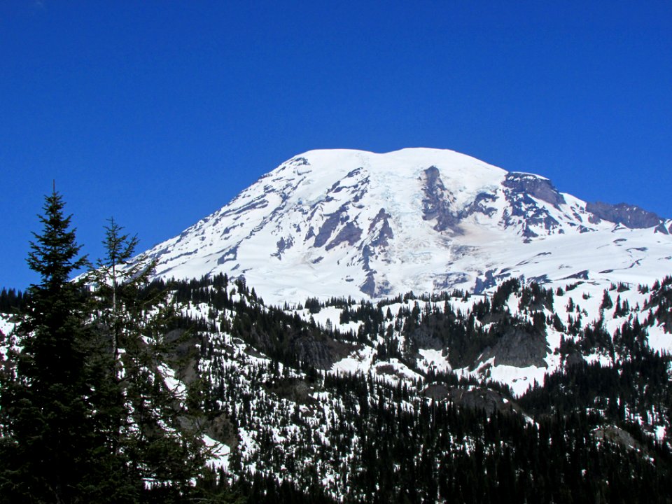 Mt. Rainier NP in WA