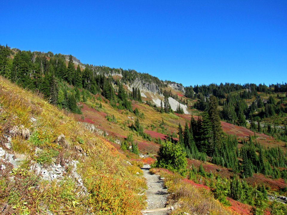 Autumn at Skyline Trail at Mt. Rainier NP in WA