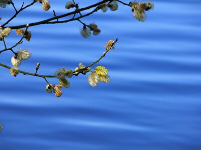 Lake background texture