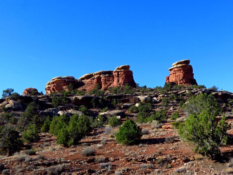 Needles District at Canyonlands NP in Utah