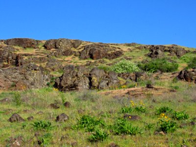 Crawford Oaks Trail at Columbia Hills SP in WA