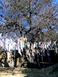 Agia Solomoni Christian Catacombs a pagan ritual of tying rags outside of a tomb continued by Christians today Pafos Cyprus