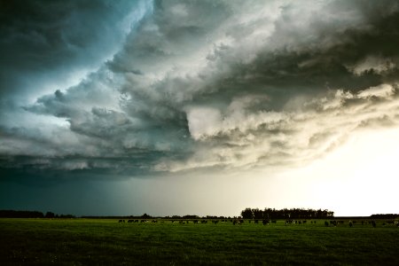Before the hail storm