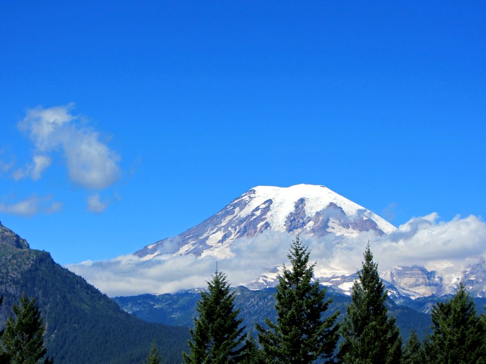 Mt. Rainier NP in WA
