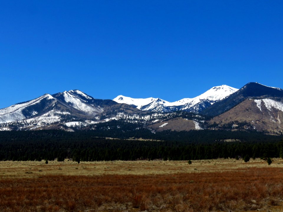 Sunset Crater Volcano NM in AZ