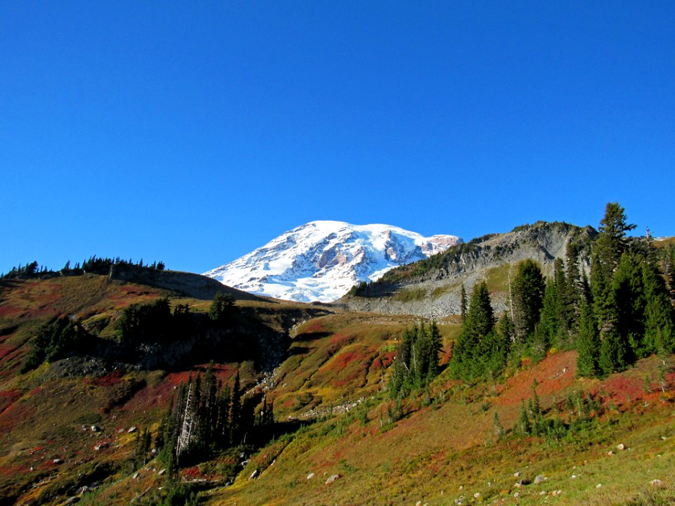 Autumn at Skyline Trail at Mt. Rainier NP in WA