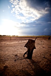 Lake Bed photo