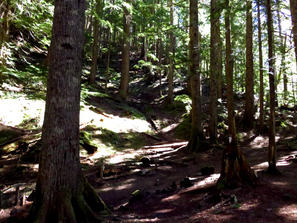 Ramona Falls Hike at Mt. Hood Wilderness in Oregon