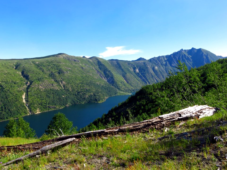 Coldwater Lake Trail at Mt. St. Helens NM in Washington