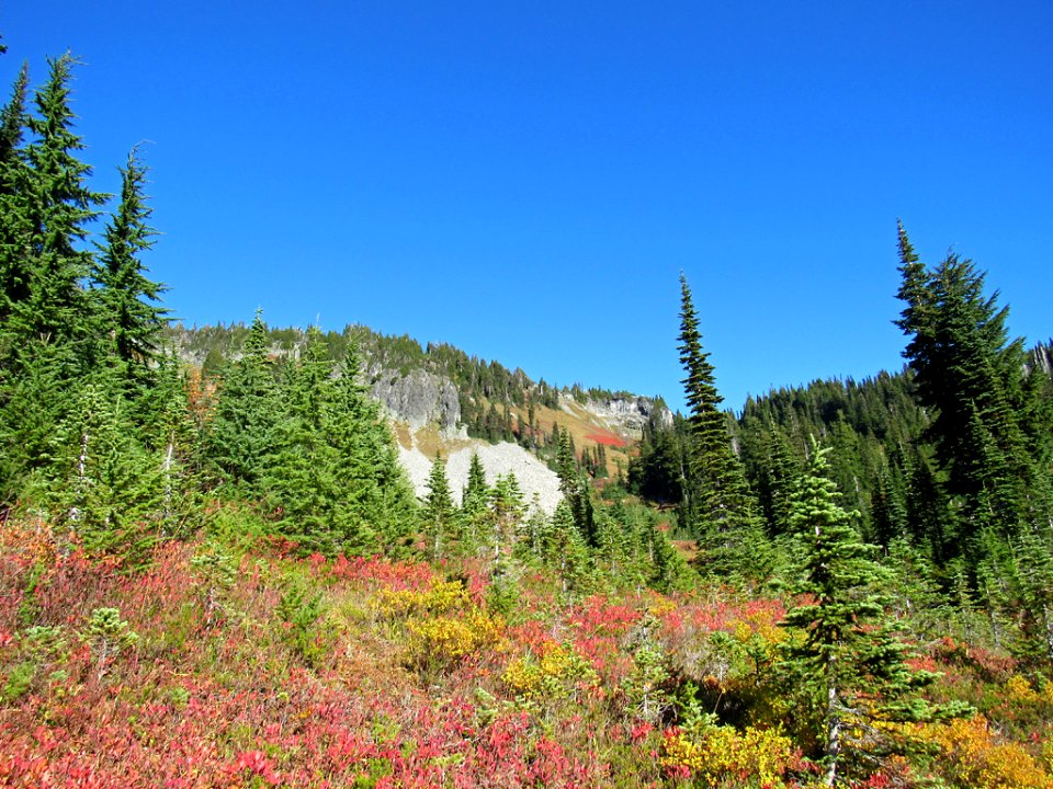 Autumn at Skyline Trail at Mt. Rainier NP in WA