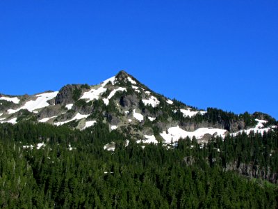Mt. Rainier NP in WA
