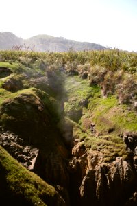Blowhole in Punakaiki, West Coast, New Zealand photo