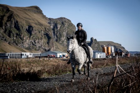 Vik's horsewoman