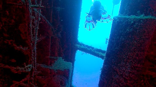 Mandy swimming in Zenobia Wreck Cyprus