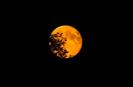 Silhouette full moon mood photo