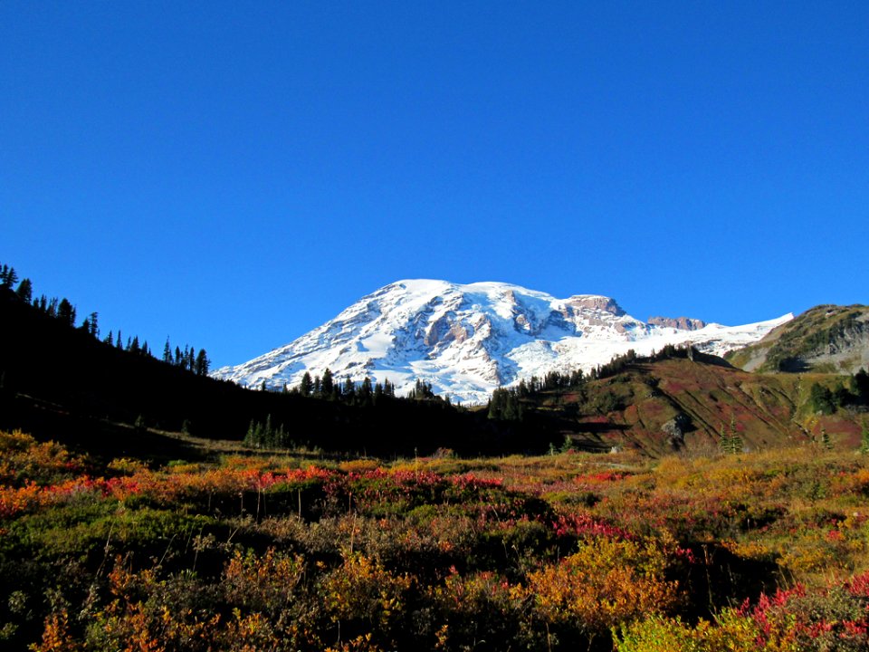 Autumn at Skyline Trail at Mt. Rainier NP in WA