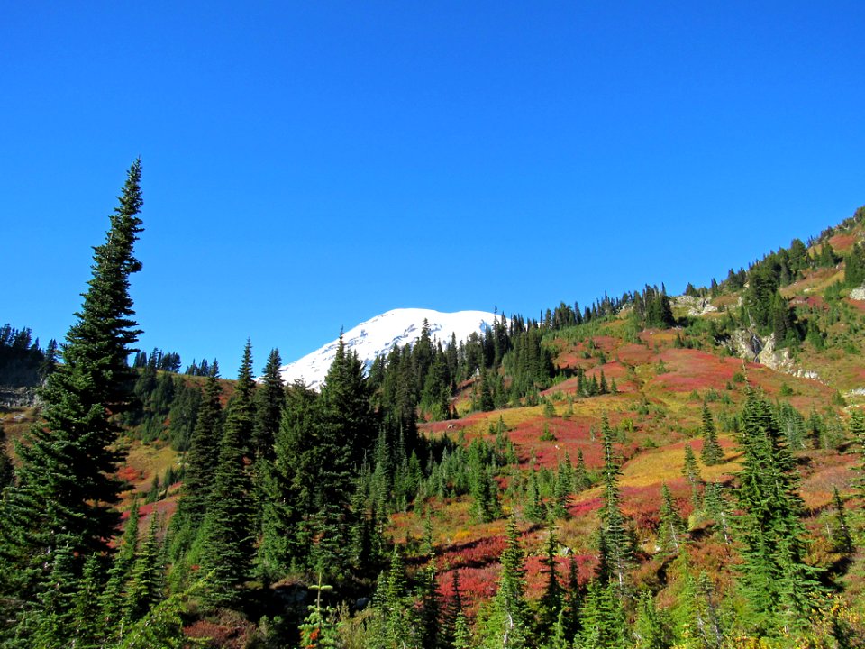 Autumn at Skyline Trail at Mt. Rainier NP in WA