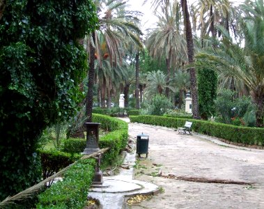 Palermo-Sicily-Italy - Creative Commons by gnuckx